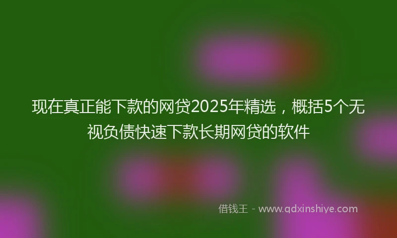现在真正能下款的网贷2025年精选，概括5个无视负债快速下款长期网贷的软件