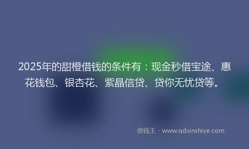 2025年的甜橙借钱的条件有：现金秒借宝途、惠花钱包、银杏花、紫晶信贷、贷你无忧贷等。