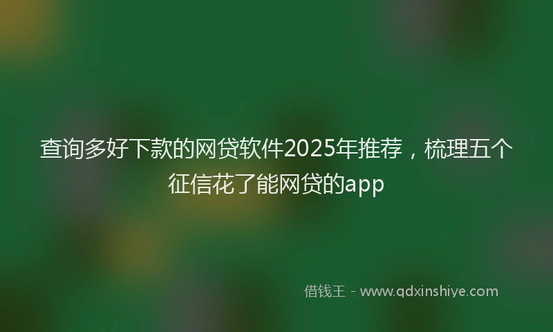 查询多好下款的网贷软件2025年推荐，梳理五个征信花了能网贷的app