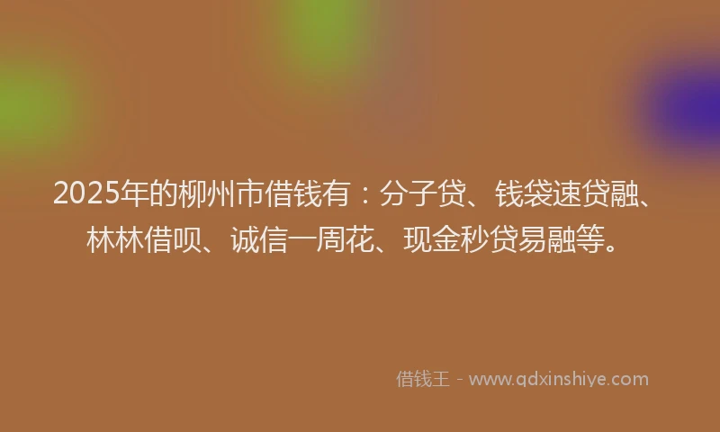 2025年的柳州市借钱有：分子贷、钱袋速贷融、林林借呗、诚信一周花、现金秒贷易融等。