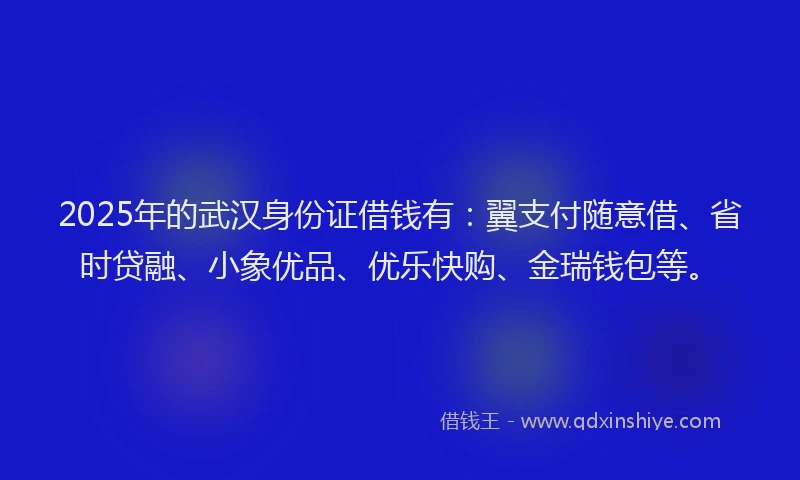 2025年的武汉身份证借钱有：翼支付随意借、省时贷融、小象优品、优乐快购、金瑞钱包等。