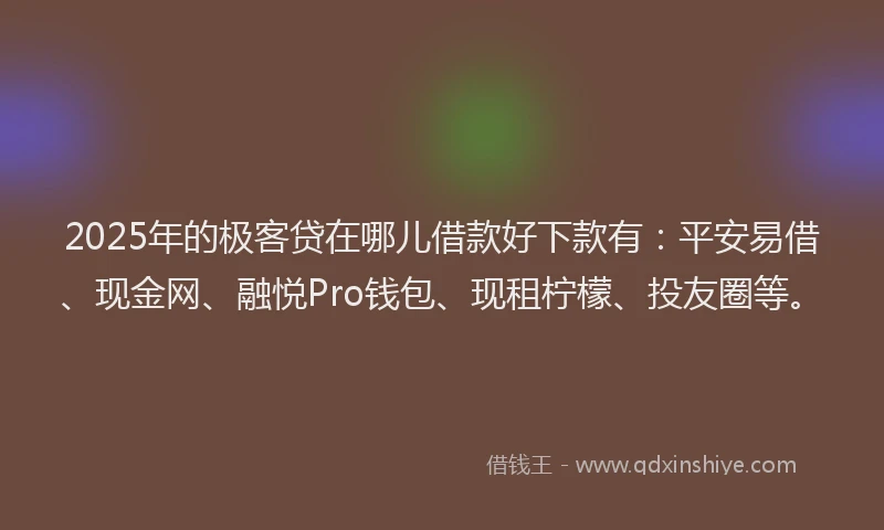 2025年的极客贷在哪儿借款好下款有：平安易借、现金网、融悦Pro钱包、现租柠檬、投友圈等。