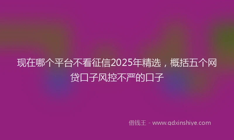 现在哪个平台不看征信2025年精选，概括五个网贷口子风控不严的口子