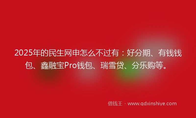 2025年的民生网申怎么不过有：好分期、有钱钱包、鑫融宝Pro钱包、瑞雪贷、分乐购等。