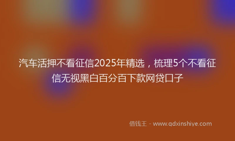 汽车活押不看征信2025年精选，梳理5个不看征信无视黑白百分百下款网贷口子