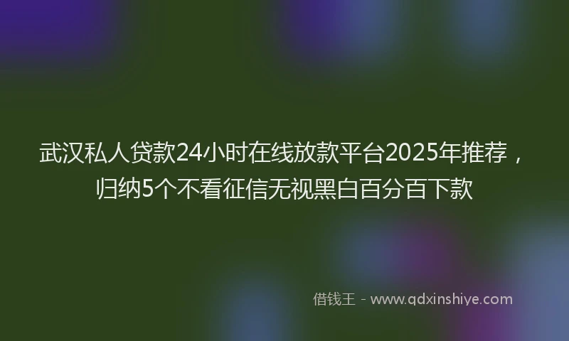 武汉私人贷款24小时在线放款平台2025年推荐，归纳5个不看征信无视黑白百分百下款