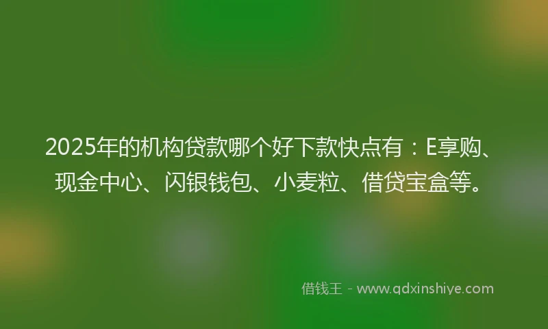2025年的机构贷款哪个好下款快点有：E享购、现金中心、闪银钱包、小麦粒、借贷宝盒等。