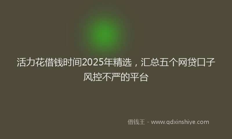 活力花借钱时间2025年精选，汇总五个网贷口子风控不严的平台