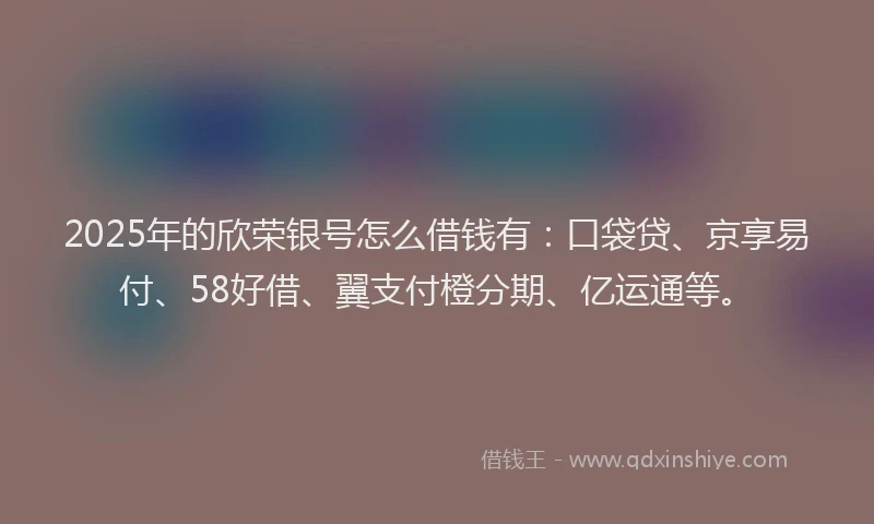 2025年的欣荣银号怎么借钱有：口袋贷、京享易付、58好借、翼支付橙分期、亿运通等。