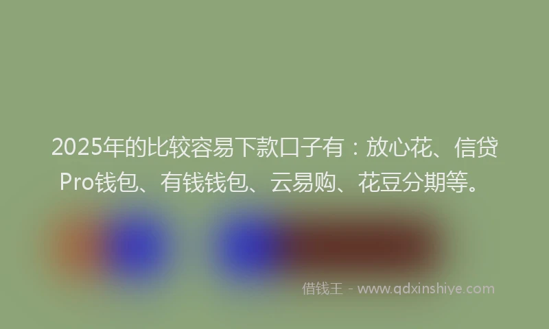 2025年的比较容易下款口子有：放心花、信贷Pro钱包、有钱钱包、云易购、花豆分期等。