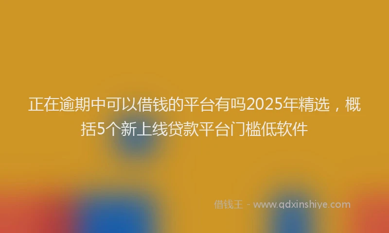 正在逾期中可以借钱的平台有吗2025年精选，概括5个新上线贷款平台门槛低软件