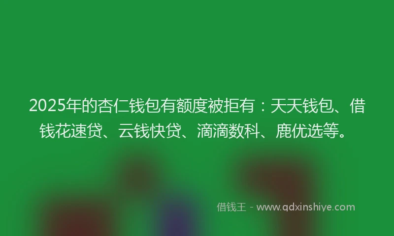 2025年的杏仁钱包有额度被拒有：天天钱包、借钱花速贷、云钱快贷、滴滴数科、鹿优选等。