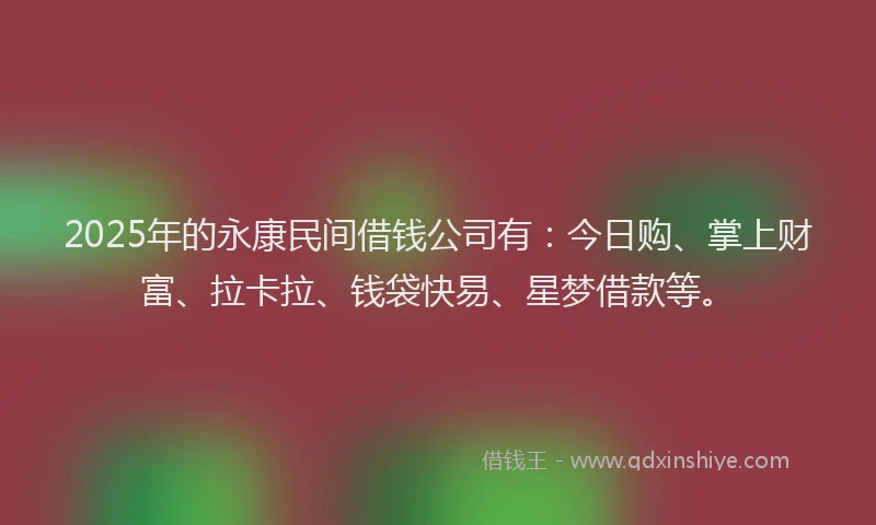 2025年的永康民间借钱公司有：今日购、掌上财富、拉卡拉、钱袋快易、星梦借款等。