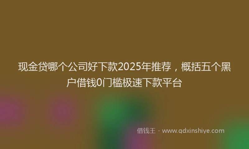 现金贷哪个公司好下款2025年推荐，概括五个黑户借钱0门槛极速下款平台