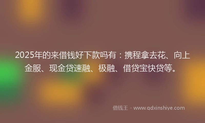2025年的来借钱好下款吗有：携程拿去花、向上金服、现金贷速融、极融、借贷宝快贷等。