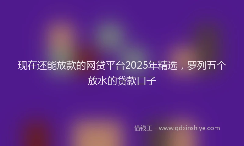 现在还能放款的网贷平台2025年精选，罗列五个放水的贷款口子