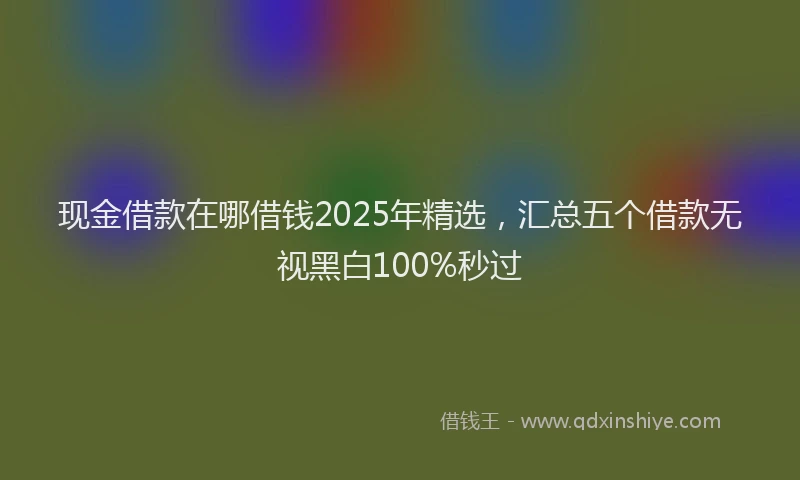 现金借款在哪借钱2025年精选，汇总五个借款无视黑白100%秒过