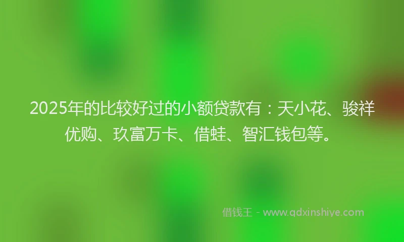 2025年的比较好过的小额贷款有：天小花、骏祥优购、玖富万卡、借蛙、智汇钱包等。