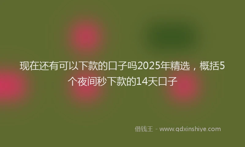 现在还有可以下款的口子吗2025年精选，概括5个夜间秒下款的14天口子