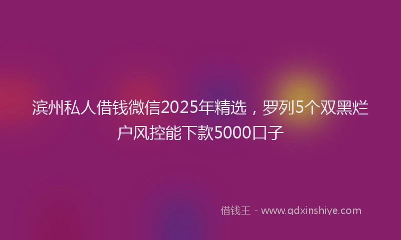 滨州私人借钱微信2025年精选，罗列5个双黑烂户风控能下款5000口子