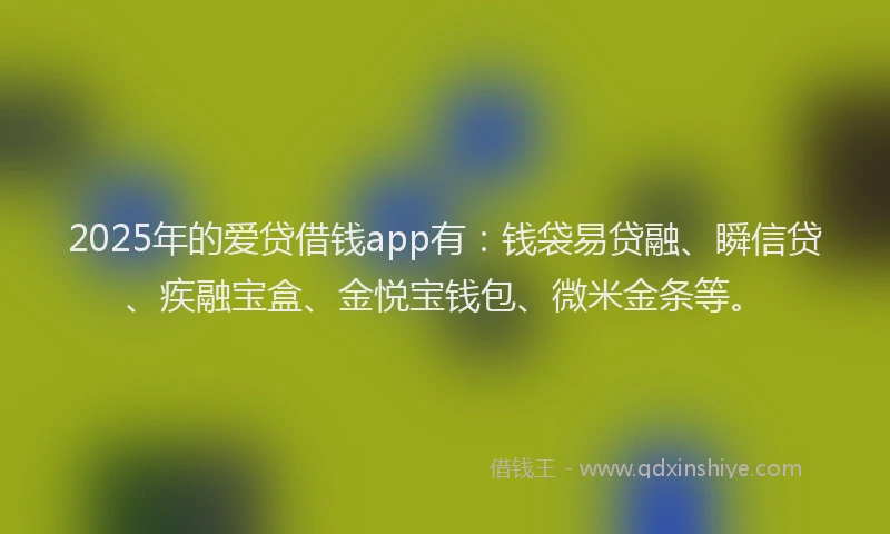 2025年的爱贷借钱app有：钱袋易贷融、瞬信贷、疾融宝盒、金悦宝钱包、微米金条等。