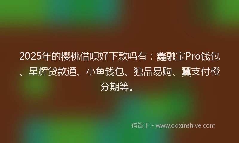 2025年的樱桃借呗好下款吗有：鑫融宝Pro钱包、星辉贷款通、小鱼钱包、独品易购、翼支付橙分期等。