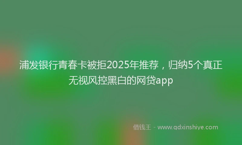 浦发银行青春卡被拒2025年推荐，归纳5个真正无视风控黑白的网贷app