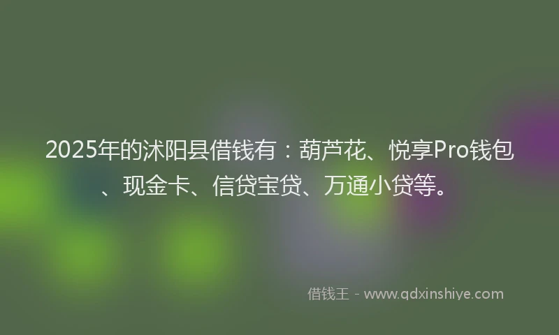 2025年的沭阳县借钱有：葫芦花、悦享Pro钱包、现金卡、信贷宝贷、万通小贷等。