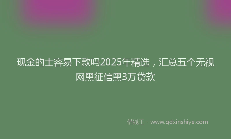 现金的士容易下款吗2025年精选，汇总五个无视网黑征信黑3万贷款