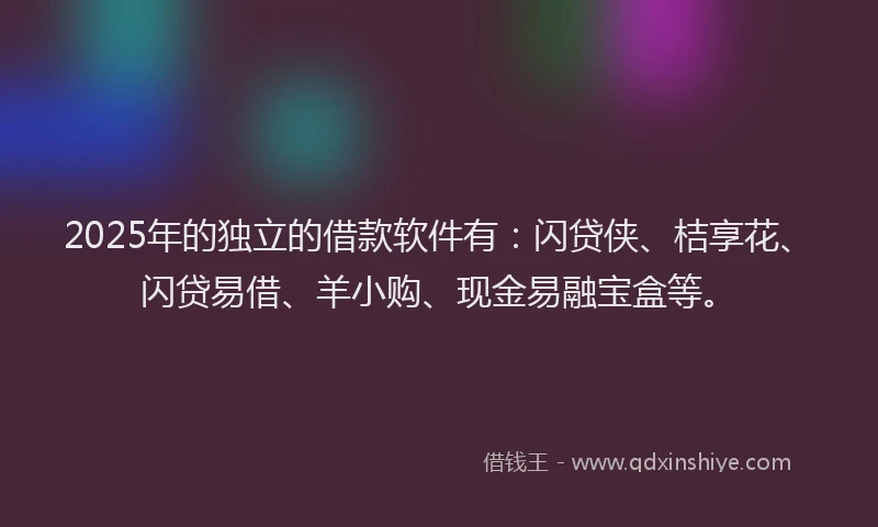 2025年的独立的借款软件有：闪贷侠、桔享花、闪贷易借、羊小购、现金易融宝盒等。