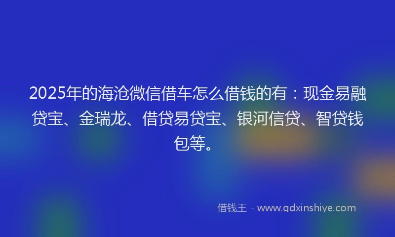 2025年的海沧微信借车怎么借钱的有：现金易融贷宝、金瑞龙、借贷易贷宝、银河信贷、智贷钱包等。