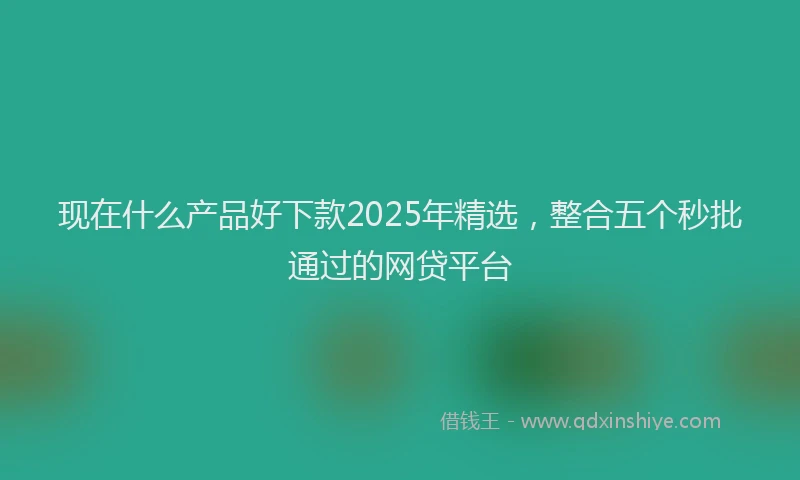 现在什么产品好下款2025年精选，整合五个秒批通过的网贷平台