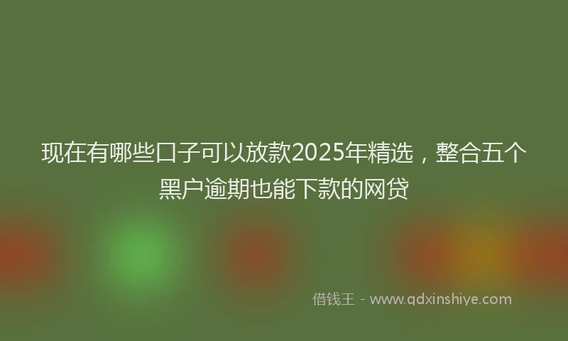 现在有哪些口子可以放款2025年精选，整合五个黑户逾期也能下款的网贷