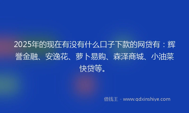 2025年的现在有没有什么口子下款的网贷有：辉誉金融、安逸花、萝卜易购、森泽商城、小油菜快贷等。