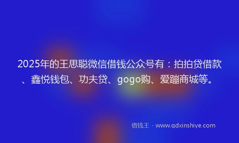 2025年的王思聪微信借钱公众号有：拍拍贷借款、鑫悦钱包、功夫贷、gogo购、爱蹦商城等。