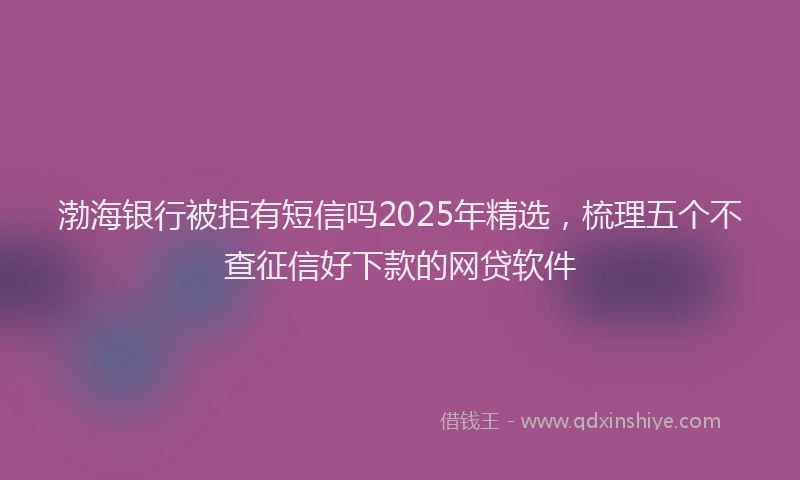 渤海银行被拒有短信吗2025年精选，梳理五个不查征信好下款的网贷软件