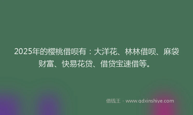 2025年的樱桃借呗有：大洋花、林林借呗、麻袋财富、快易花贷、借贷宝速借等。