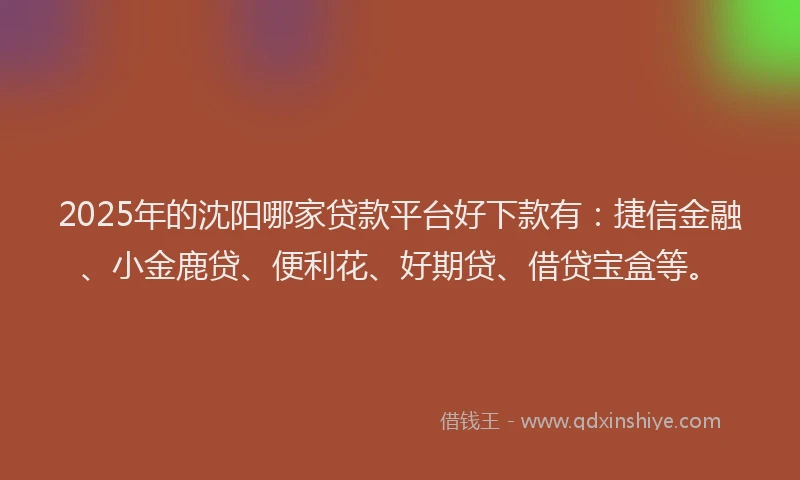 2025年的沈阳哪家贷款平台好下款有：捷信金融、小金鹿贷、便利花、好期贷、借贷宝盒等。