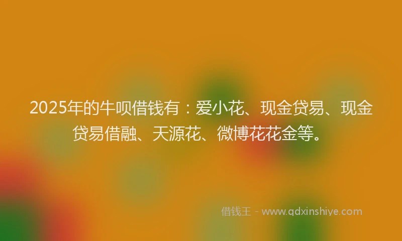 2025年的牛呗借钱有：爱小花、现金贷易、现金贷易借融、天源花、微博花花金等。