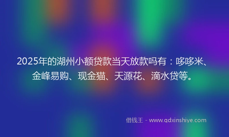 2025年的湖州小额贷款当天放款吗有：哆哆米、金峰易购、现金猫、天源花、滴水贷等。