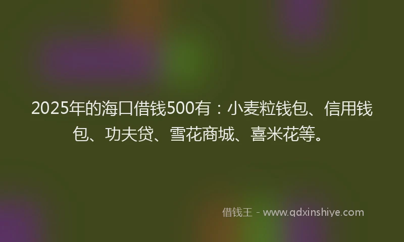 2025年的海口借钱500有：小麦粒钱包、信用钱包、功夫贷、雪花商城、喜米花等。