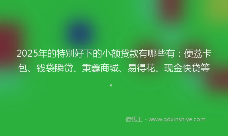 2025年的特别好下的小额贷款有哪些有：便荔卡包、钱袋瞬贷、秉鑫商城、易得花、现金快贷等。