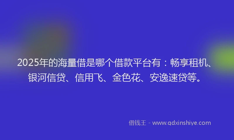2025年的海量借是哪个借款平台有：畅享租机、银河信贷、信用飞、金色花、安逸速贷等。