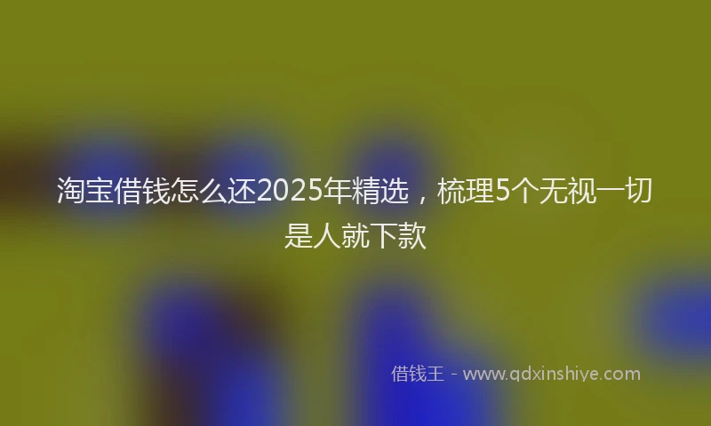 淘宝借钱怎么还2025年精选，梳理5个无视一切是人就下款