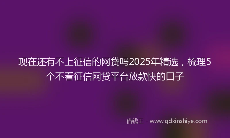 现在还有不上征信的网贷吗2025年精选，梳理5个不看征信网贷平台放款快的口子