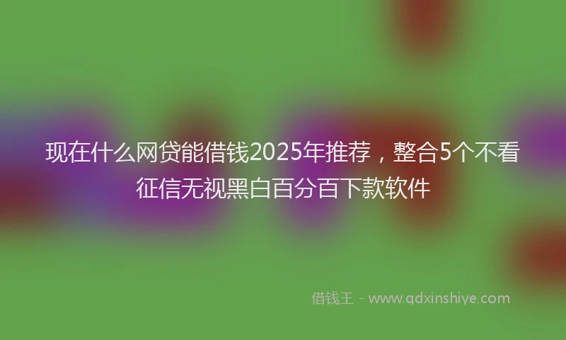现在什么网贷能借钱2025年推荐，整合5个不看征信无视黑白百分百下款软件
