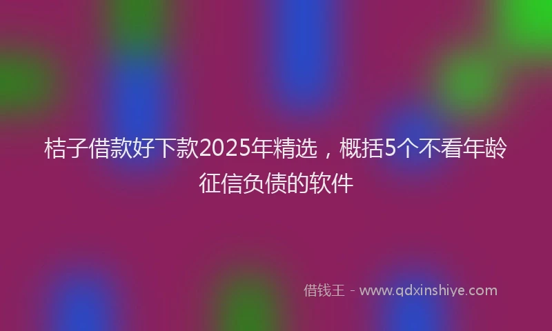 桔子借款好下款2025年精选，概括5个不看年龄征信负债的软件
