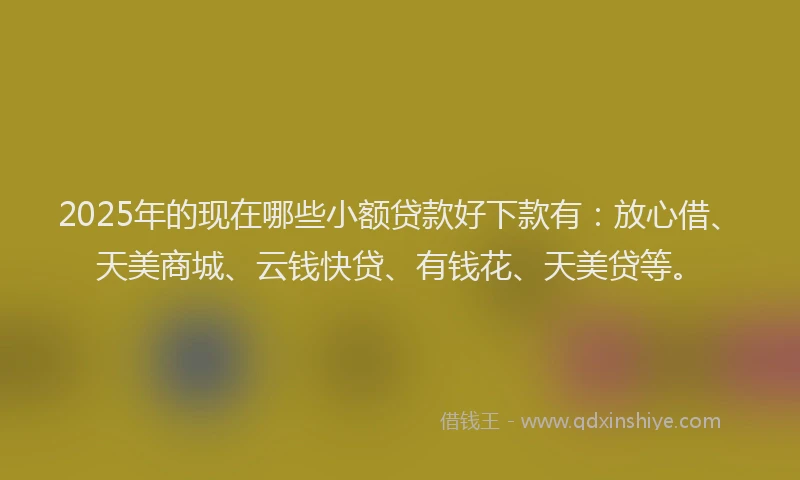 2025年的现在哪些小额贷款好下款有：放心借、天美商城、云钱快贷、有钱花、天美贷等。