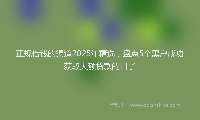 正规借钱的渠道2025年精选，盘点5个黑户成功获取大额贷款的口子