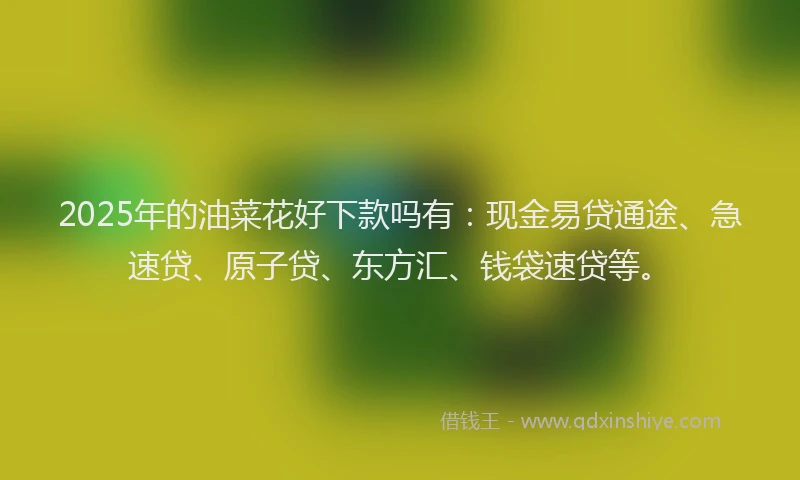 2025年的油菜花好下款吗有：现金易贷通途、急速贷、原子贷、东方汇、钱袋速贷等。